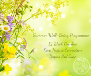 Summer Well-Being Programme
