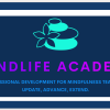 MindLife Academy