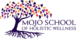 Mojo School of Holistic Wellness