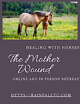 Healing the Mother Wound with Horses