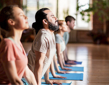 Group yoga class in a wellness studio