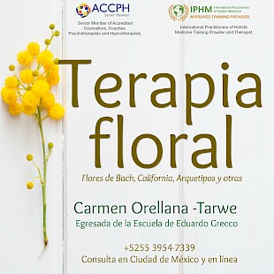 Carmen Orellana-Tarwe