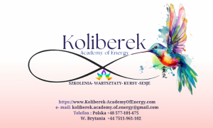 Koliberek-Academy of Energy